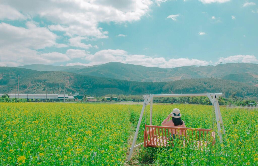A woman enjoying a sunny day on a swing amidst a vibrant farmland field with mountains in the background.