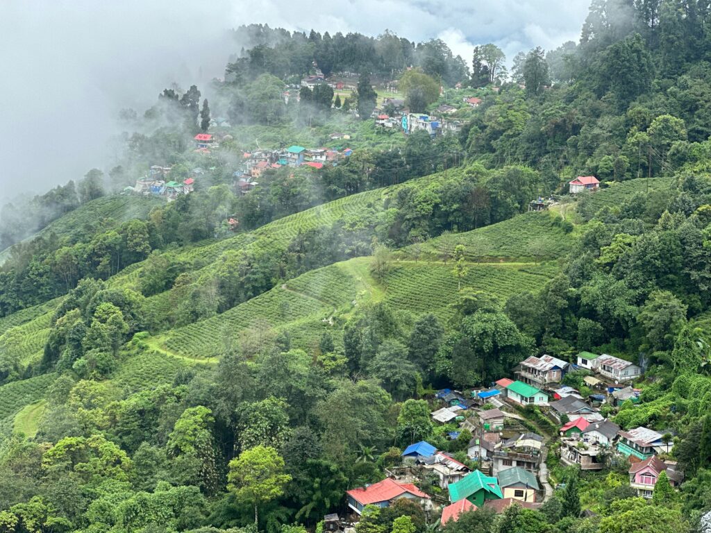  Best Places to Visit in Kurseong in One Day