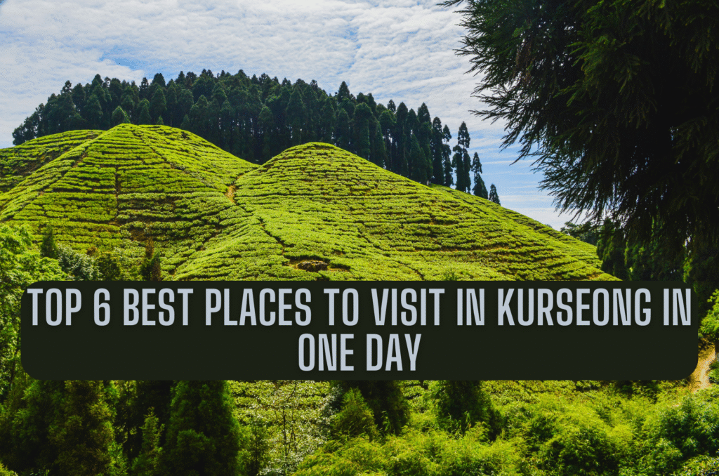 Best Places to Visit in Kurseong in One Day