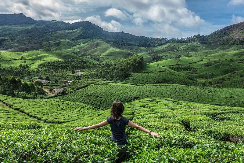 Top 10 Destinations in Munnar मुनार की बेस्ट जगहें अभी जानें