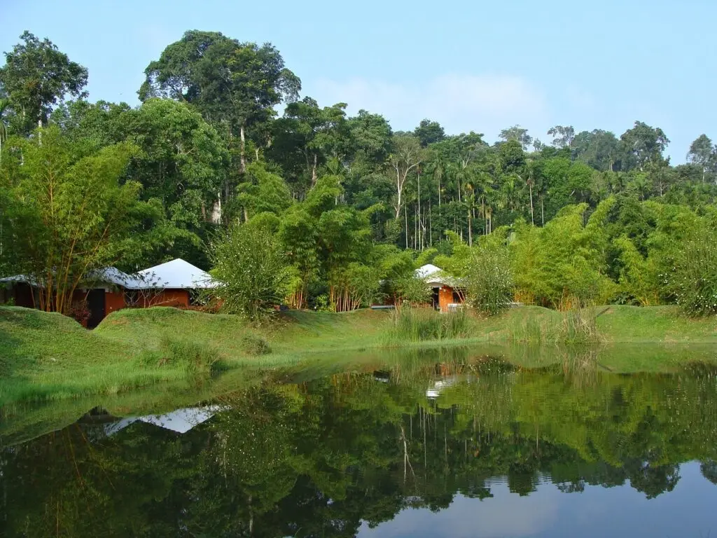 holiday home, resort, greenery, pond, reflection, kadkani, kodagu, coorg, karnataka, india, green home, coorg, coorg, coorg, coorg, coorg