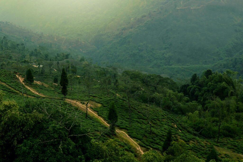 Darjeeling Tourist Point
