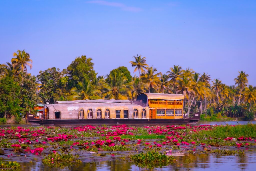 Scenic houseboat amidst vibrant pink lotus flowers on Kerala's tranquil backwaters, framed by lush palm trees.