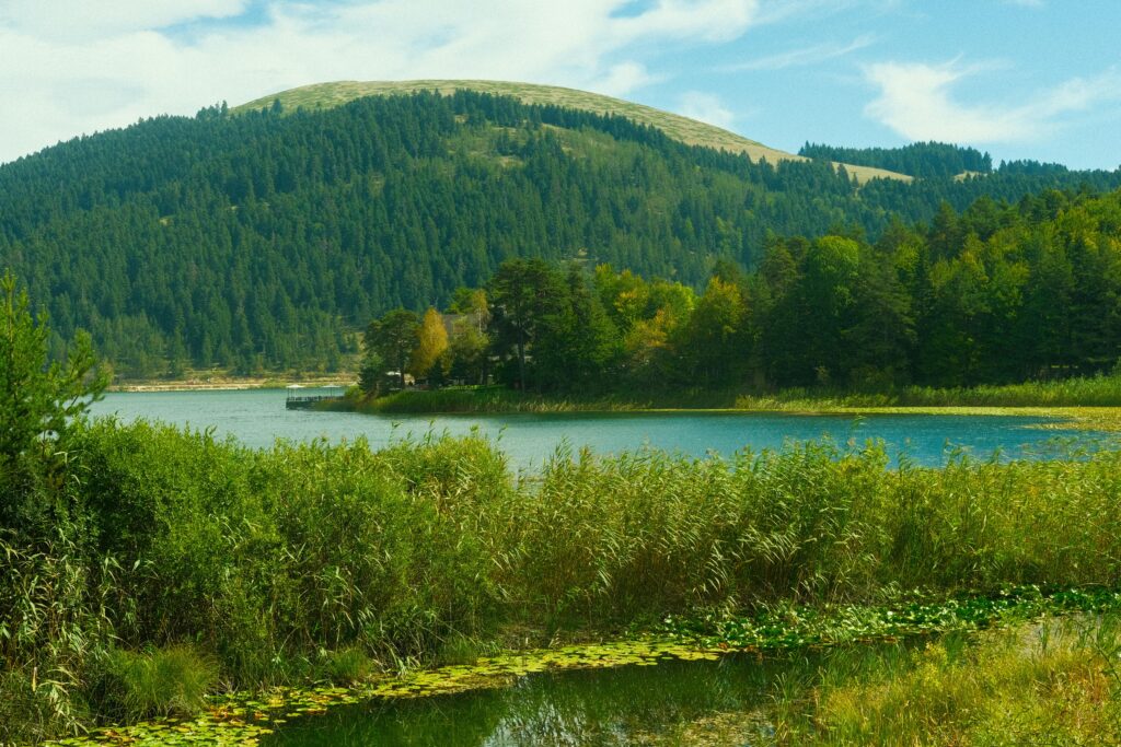 Tranquil mountain lake with lush forest backdrop, perfect for nature lovers.